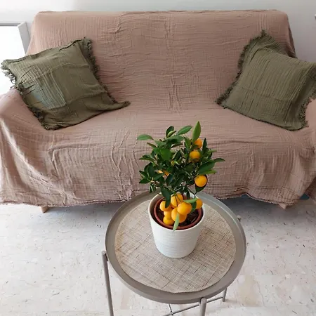 2p Renove Avec Terrasse Au Port De Apartman